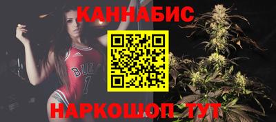 стаф Сланцы