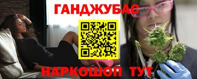 крисы Славгород