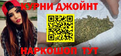 стаф Сланцы