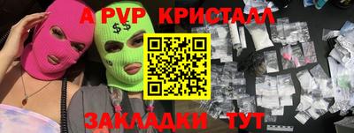 крисы Славгород