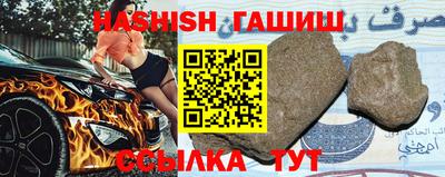 стаф Сланцы