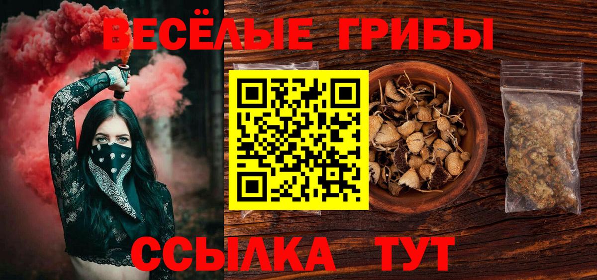 Псилоцибиновые грибы GOLDEN TEACHER Сосновый Бор
