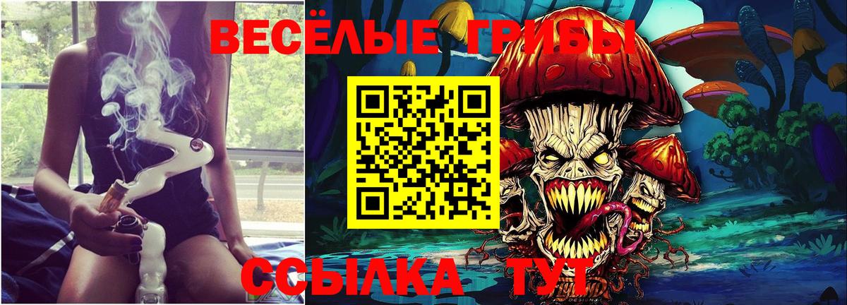 Галлюциногенные грибы Magic Shrooms  Вход с VPN  Сосновый Бор 